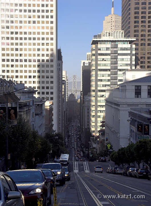 Nob Hill 1